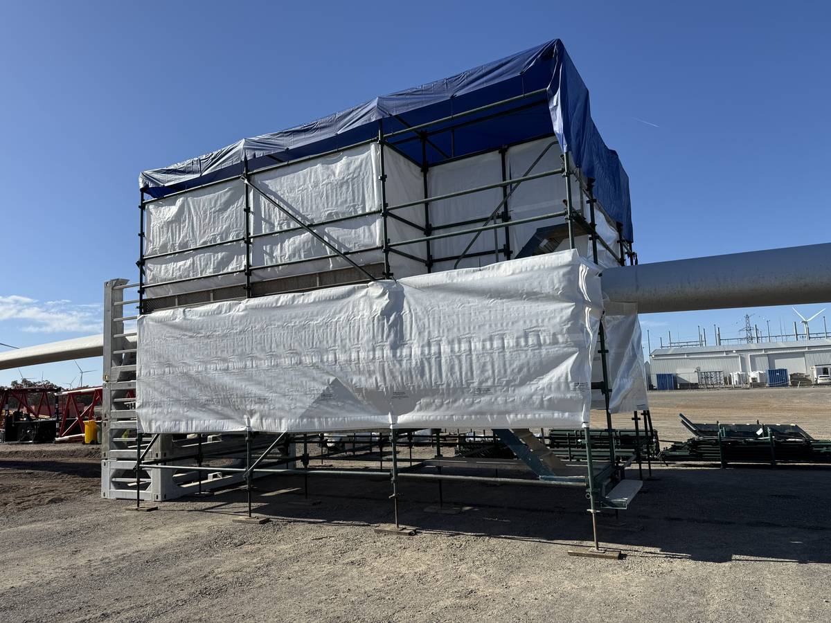 Encapsulated shrink-wrapped scaffolding